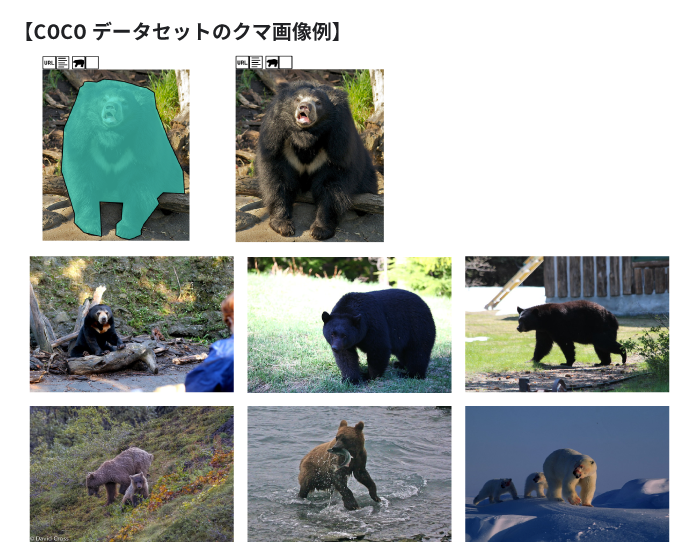 COCOデータセットのクマ画像の例